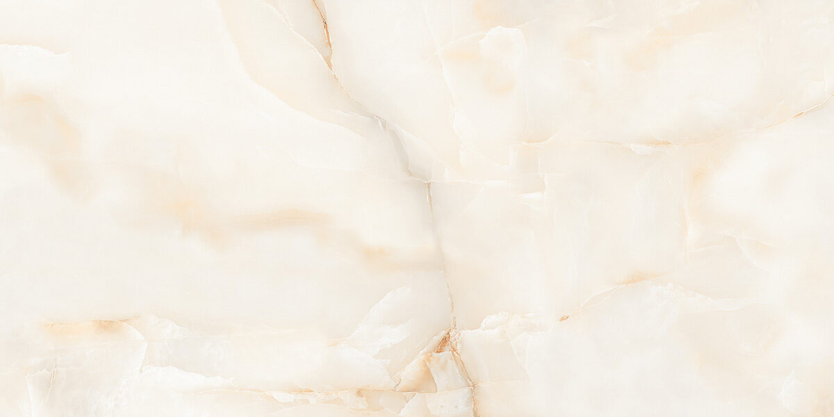 0260120512-2026-new_1_